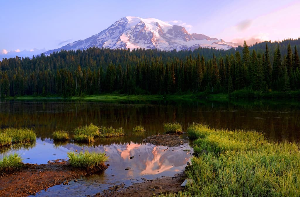 Learn about Really Fantastic and Great Mt. Rainier Campgrounds