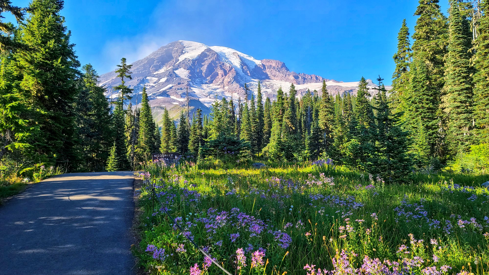 See Beautiful Mt. Rainier National Park – Irresistibly Amazing