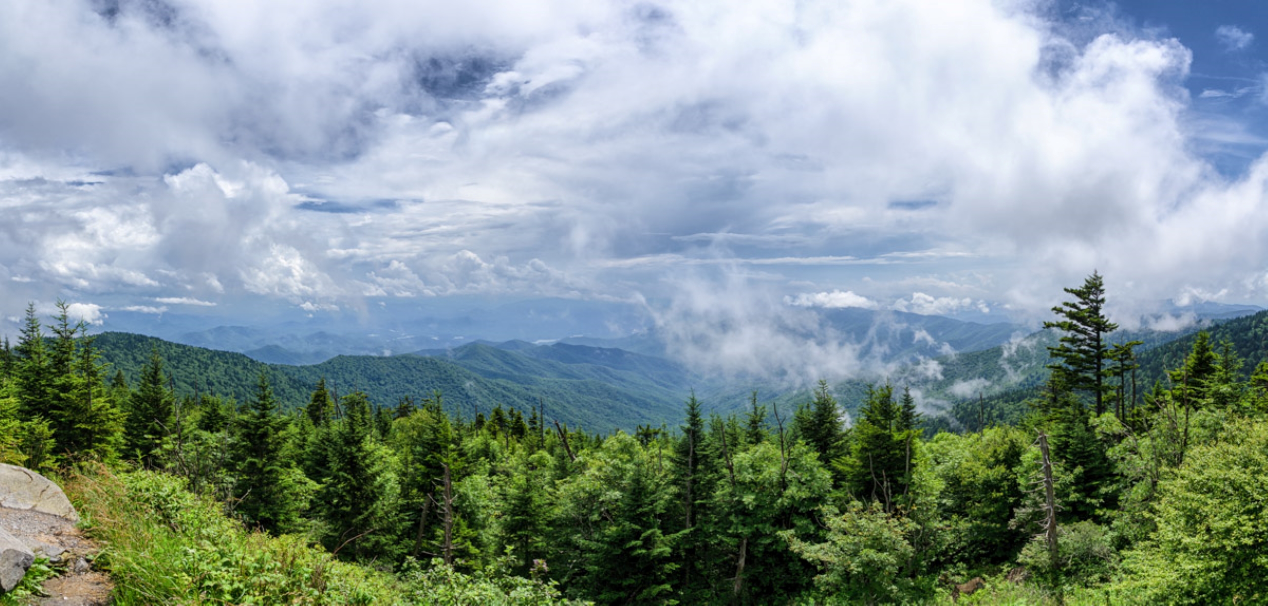 Exploring the Great Crowds: Which National Park Gets the Most Visitors? – 12 Million Visitors Annually