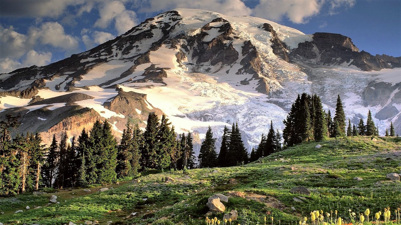 A Hiker’s Beautiful Paradise: Exploring the Skyline Trail Mt Rainier – 5.5 Miles Roundtrip