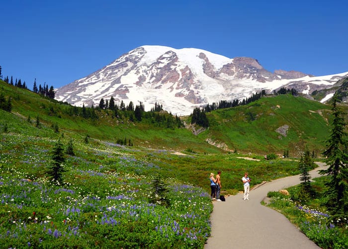 skyline trail mt rainier - Introduction   