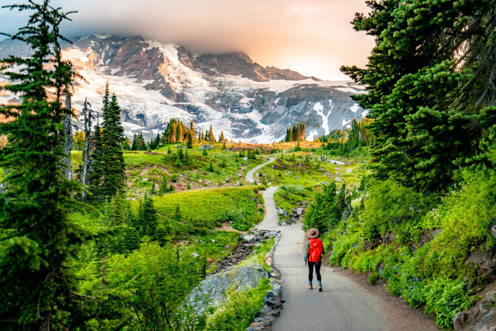 skyline trail mt rainier - Highlights