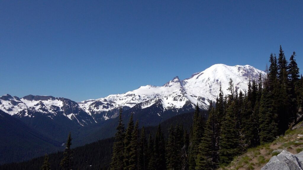 sunrise point mt rainier - tips for visiting