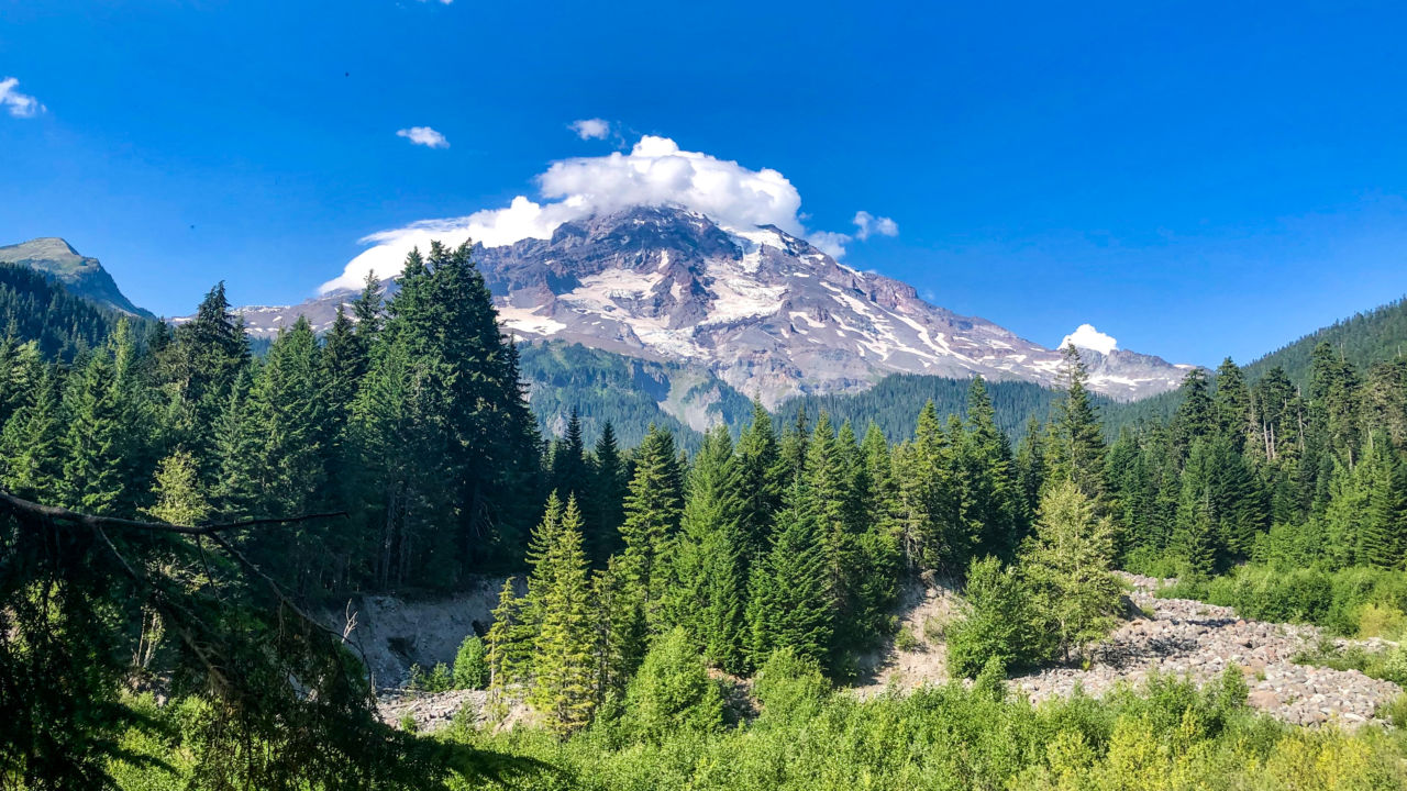 Mount Rainier from Kautz Creek