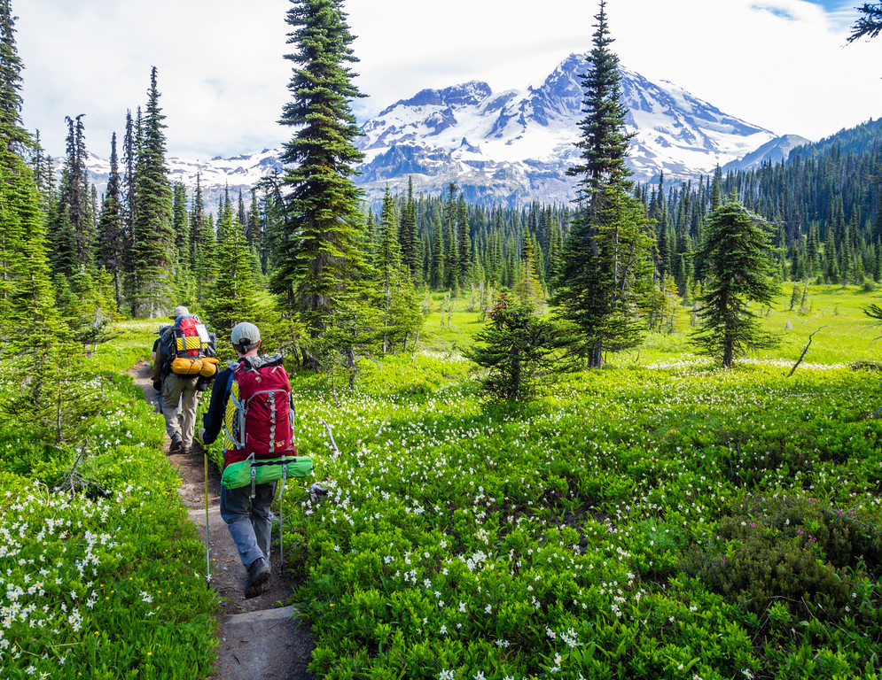 wonderland trail mt rainier - sightseeing